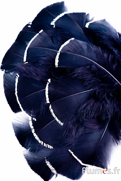 Dinde avec paillettes argentées - 6-8 cm - noir